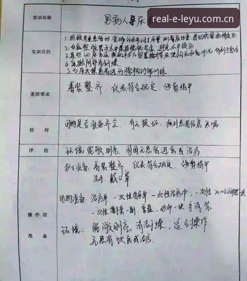 乐语功能与使用技巧全面评测：真实社交平台的深度体验报告